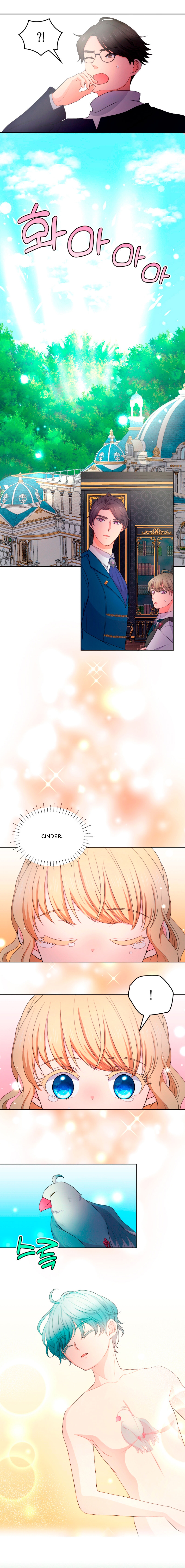 3 La niña cenicienta es la princesa de la luz