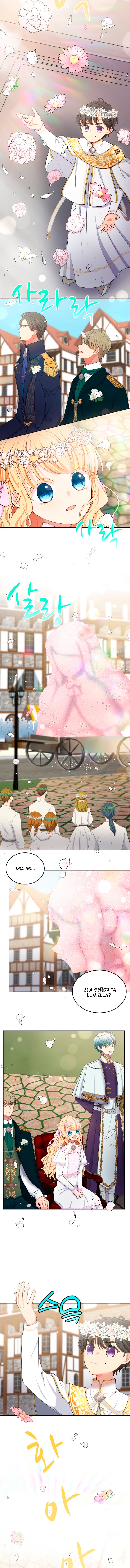 11 La niña cenicienta es la princesa de la luz