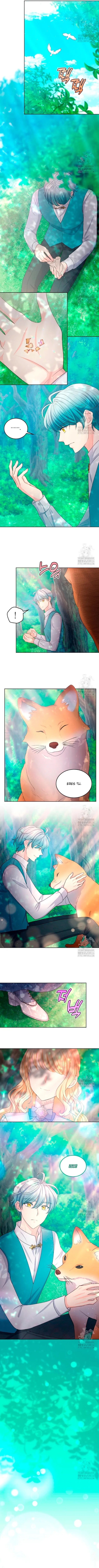 7 La niña cenicienta es la princesa de la luz