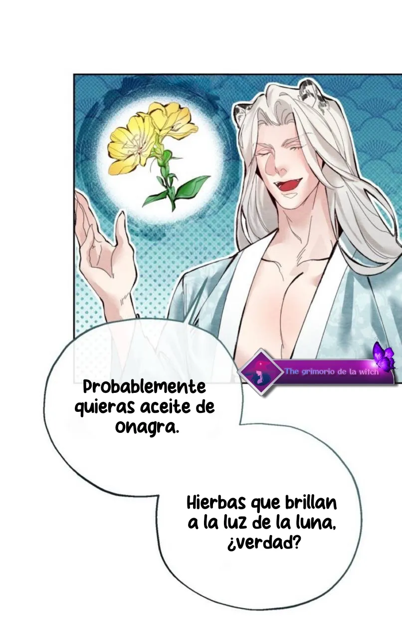 62 Mi dulce pastel de arroz