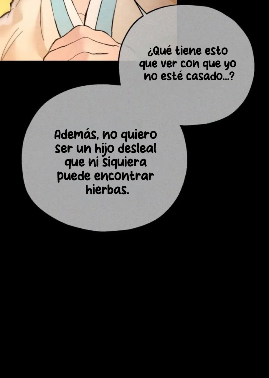 15 Mi dulce pastel de arroz