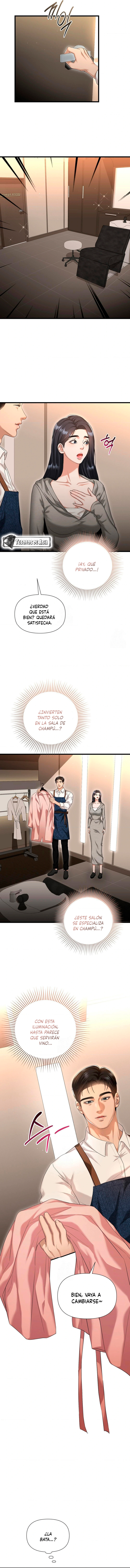 11 Tratamiento Capilar