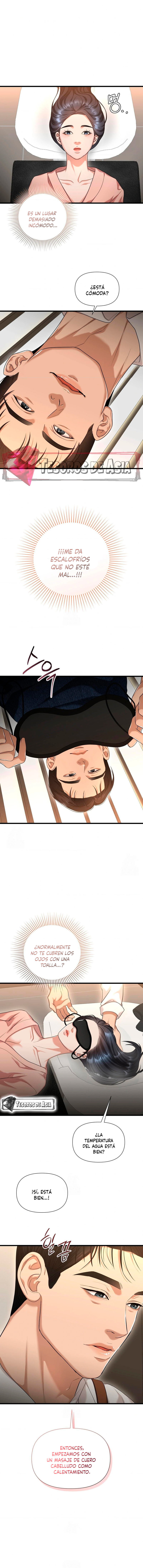 13 Tratamiento Capilar