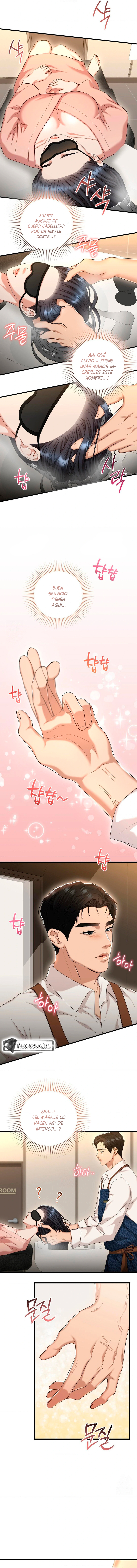 14 Tratamiento Capilar