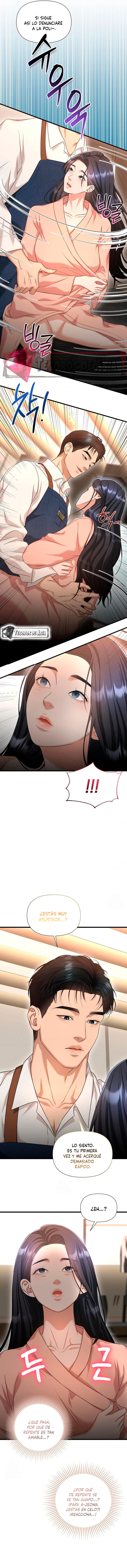 4 Tratamiento Capilar