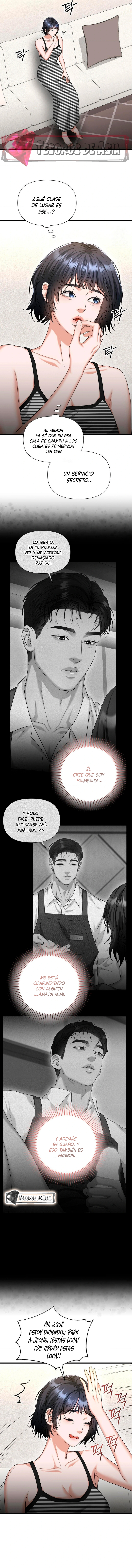 13 Tratamiento Capilar