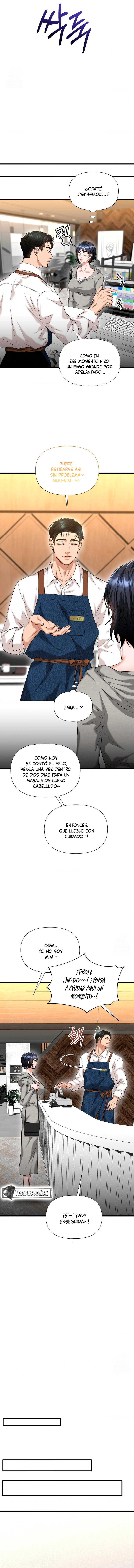 12 Tratamiento Capilar