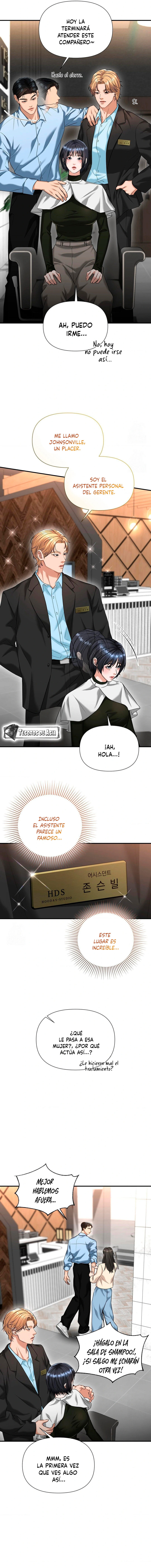 14 Tratamiento Capilar