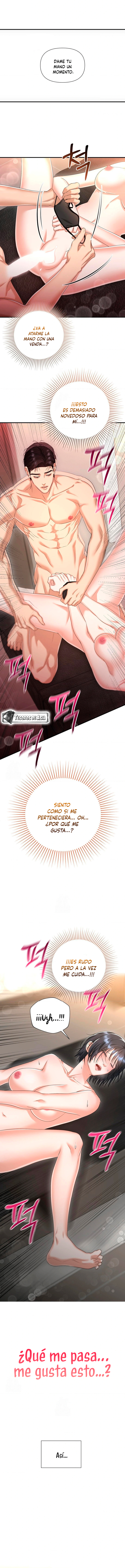 8 Tratamiento Capilar