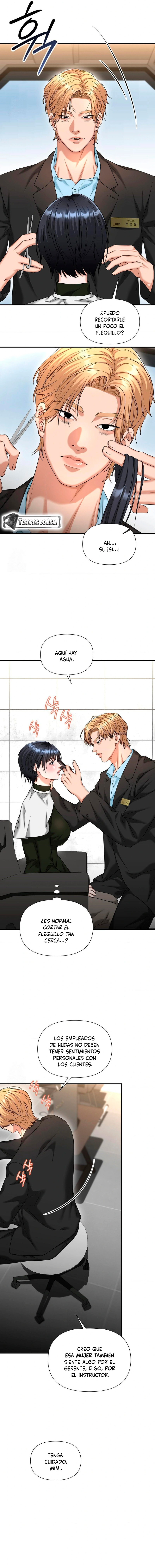 15 Tratamiento Capilar