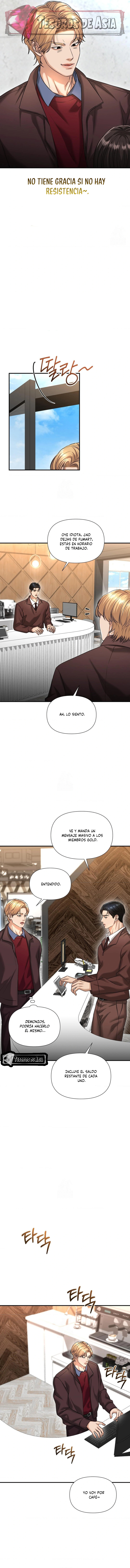 12 Tratamiento Capilar