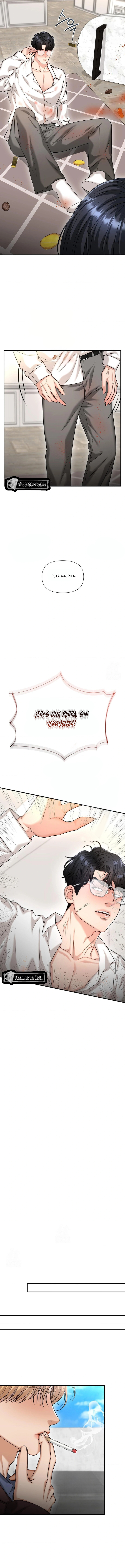 9 Tratamiento Capilar