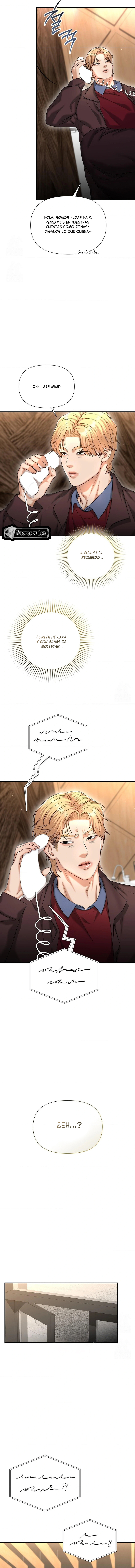 14 Tratamiento Capilar