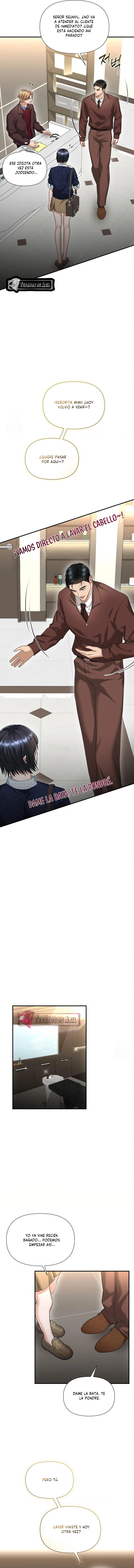 4 Tratamiento Capilar