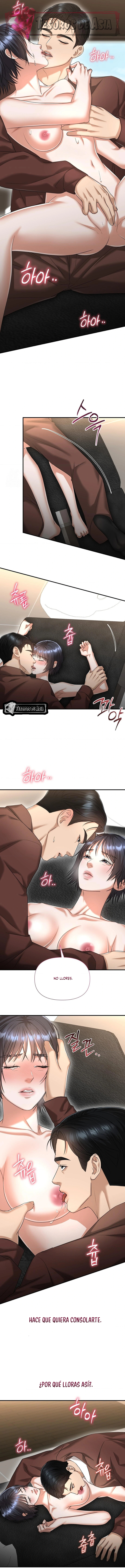 12 Tratamiento Capilar