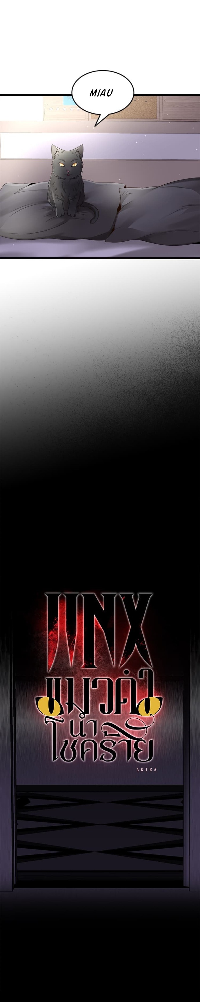 10 Jinx, el gato negro que trae mala suerte