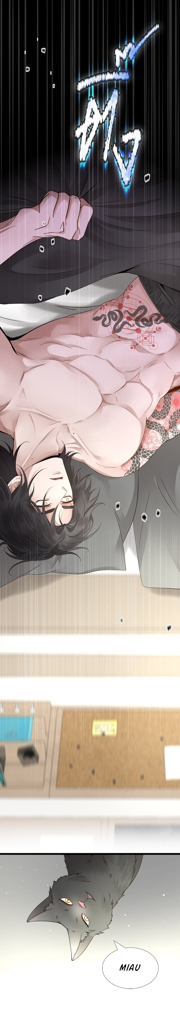 7 Jinx, el gato negro que trae mala suerte