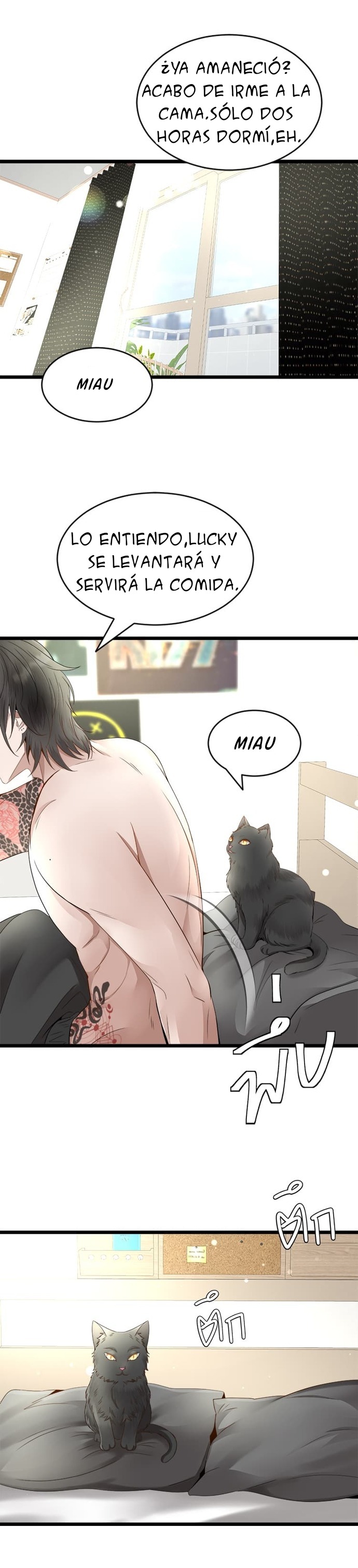 9 Jinx, el gato negro que trae mala suerte