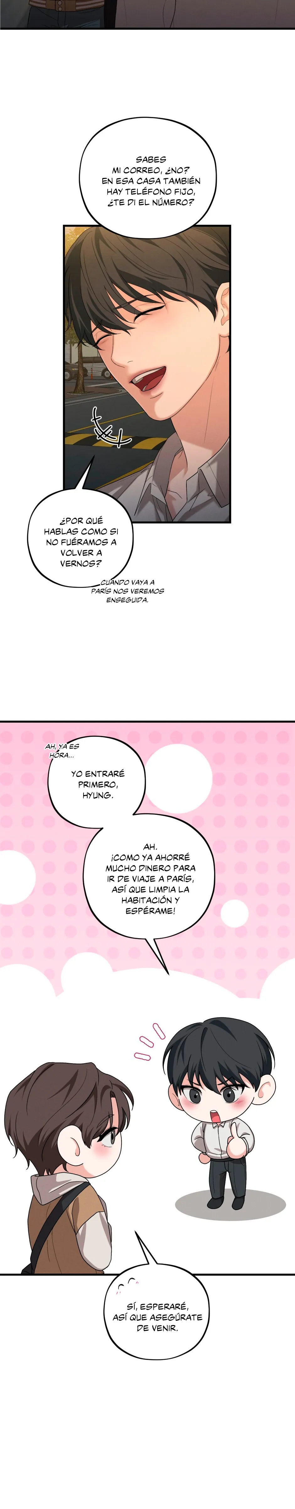 6 Disolución Su última elección