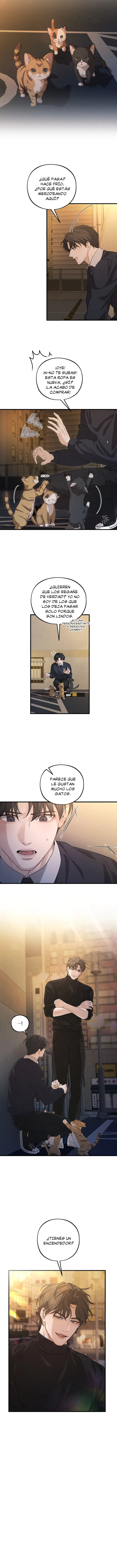 6 Disolución Su última elección