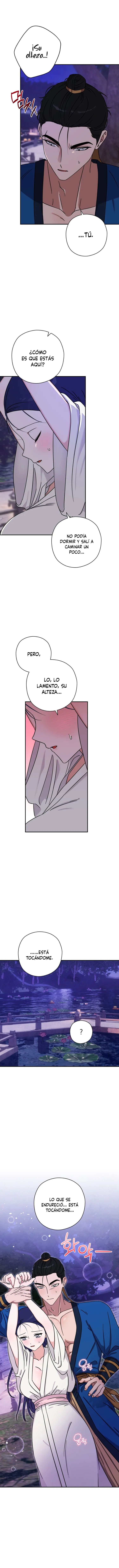 8 Formación del príncipe heredero