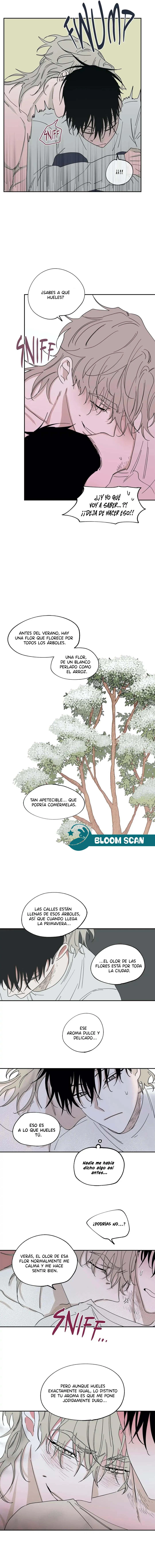 9 La noche que llega a la rivera