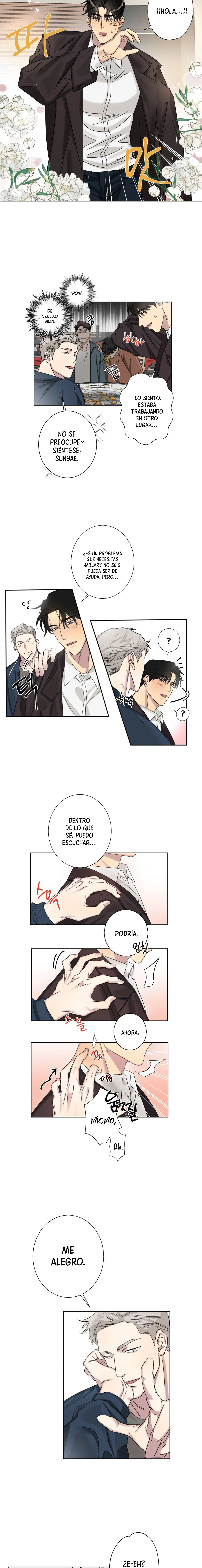 16 Error de cálculo