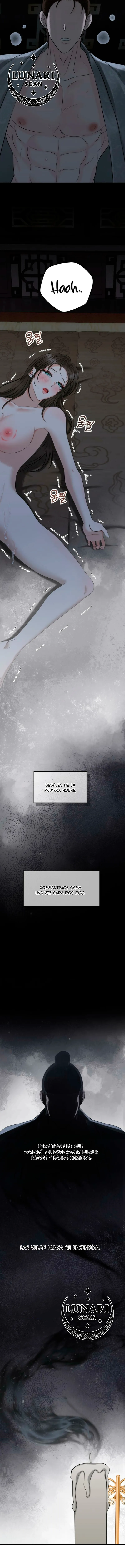 14 Miradas prohibidas