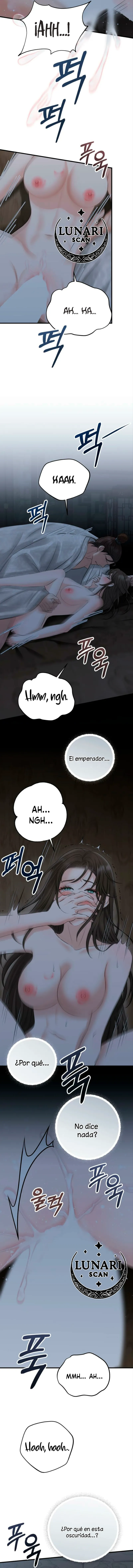 12 Miradas prohibidas