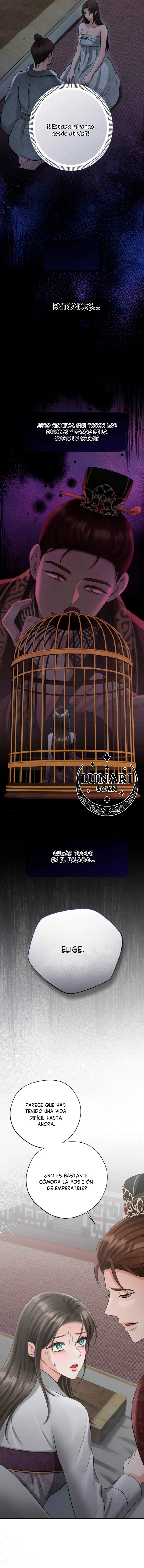 12 Miradas prohibidas