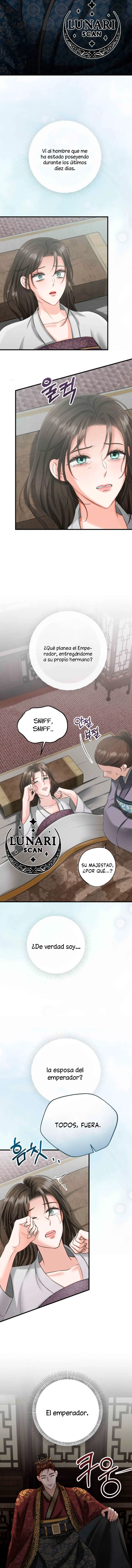 7 Miradas prohibidas