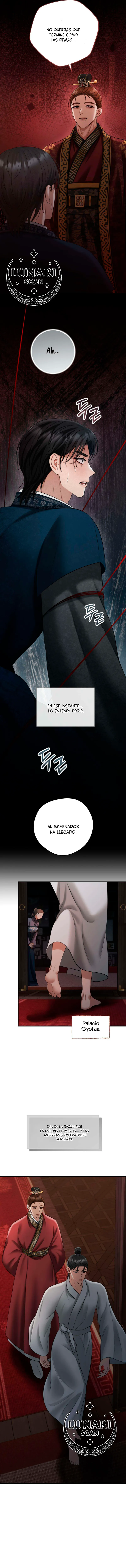 13 Miradas prohibidas