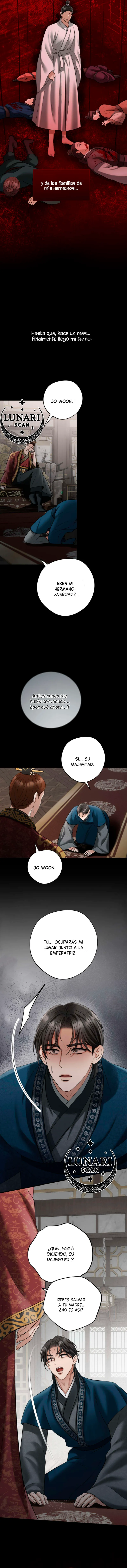 12 Miradas prohibidas