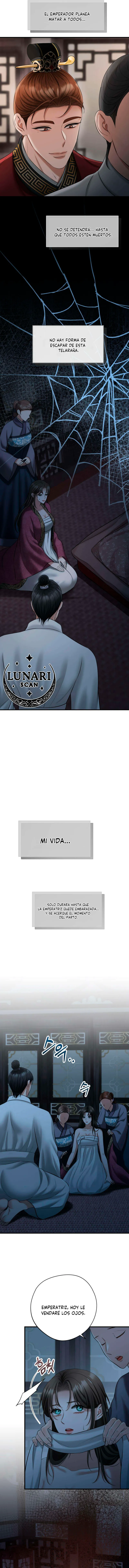 14 Miradas prohibidas