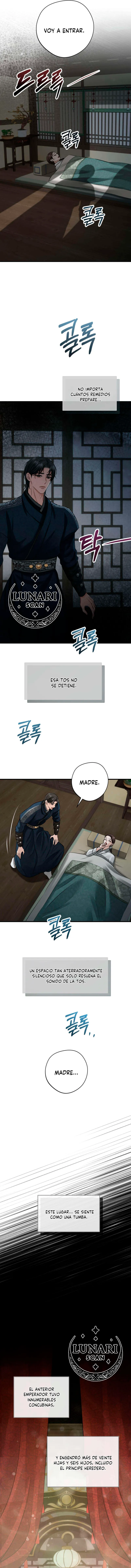 1 Miradas prohibidas