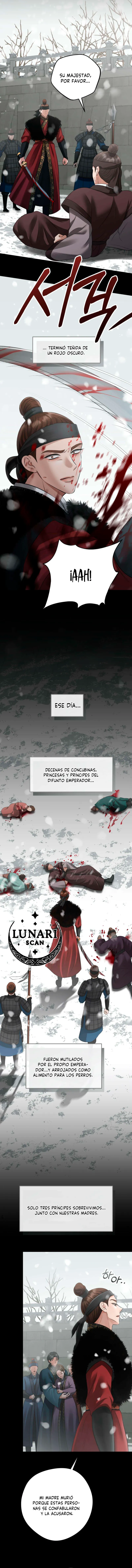 6 Miradas prohibidas