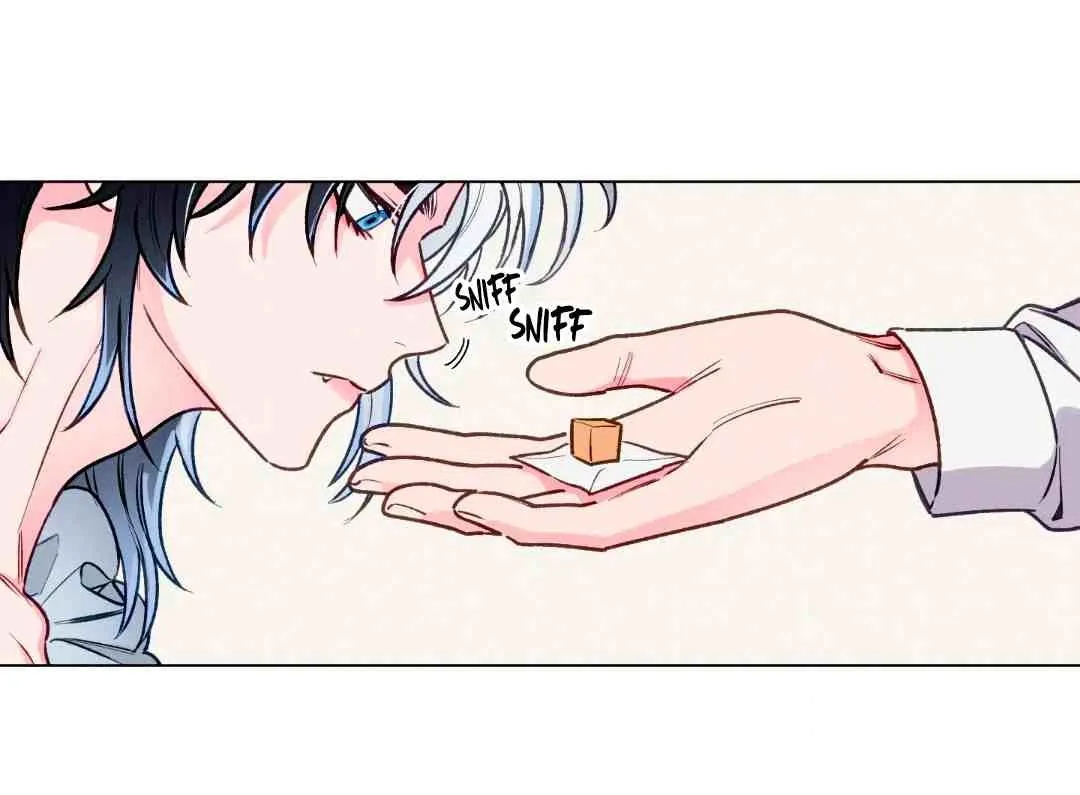 44 El Conde Reencarnado