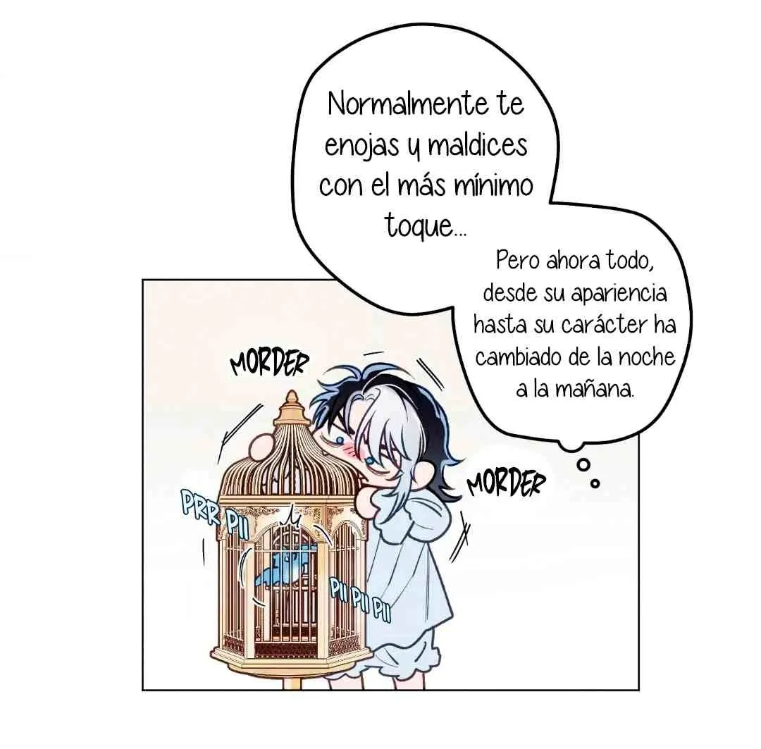 41 El Conde Reencarnado