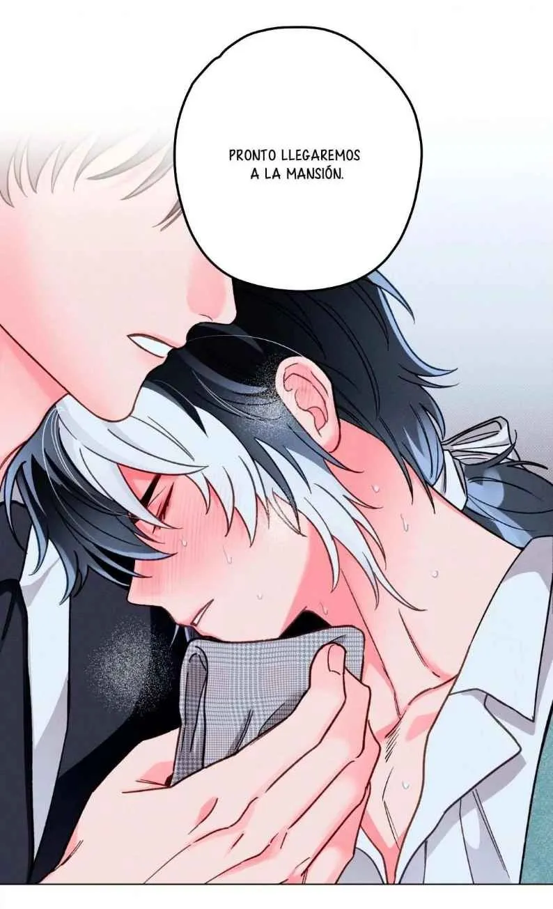 5 El Conde Reencarnado