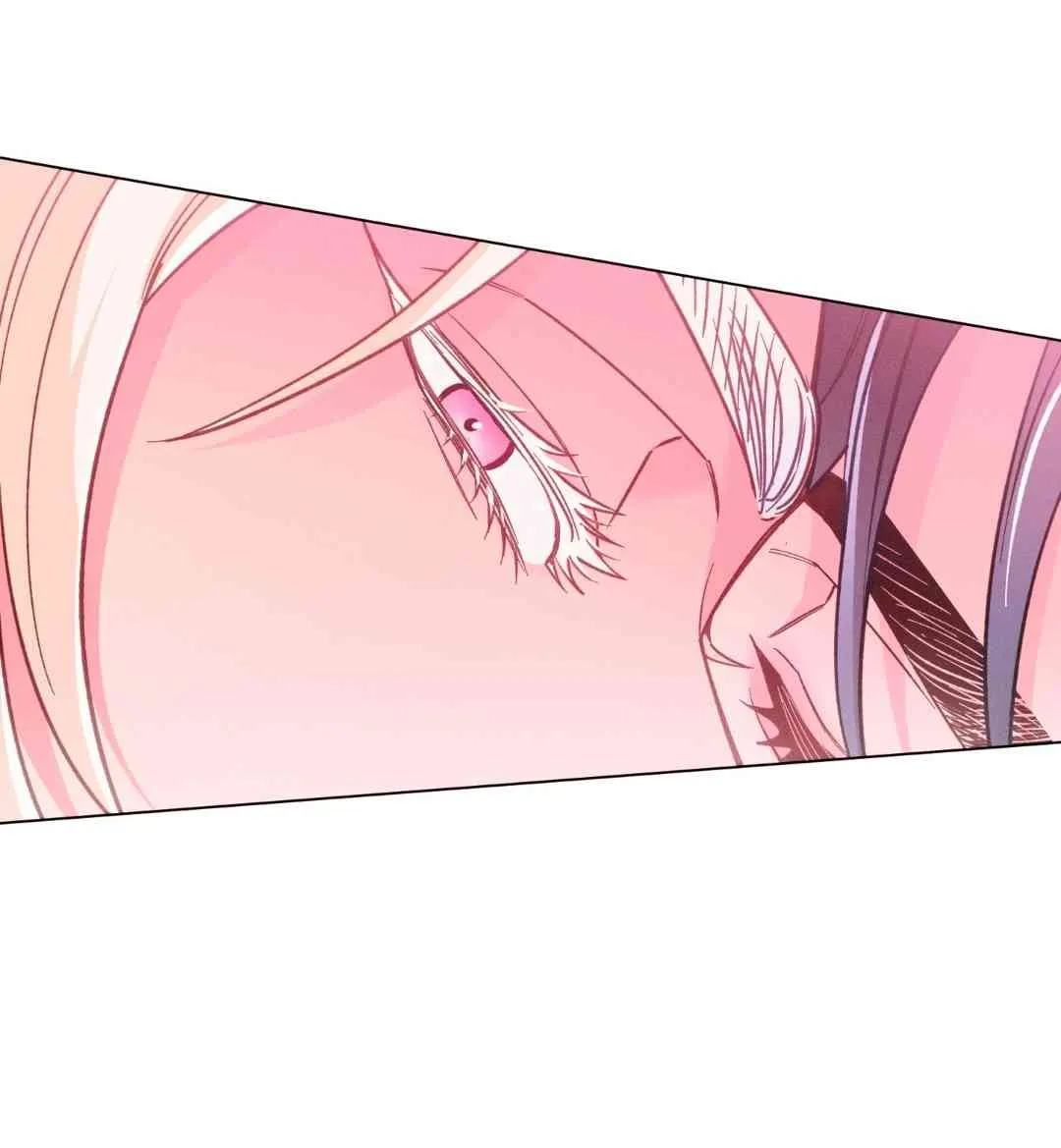 46 El Conde Reencarnado