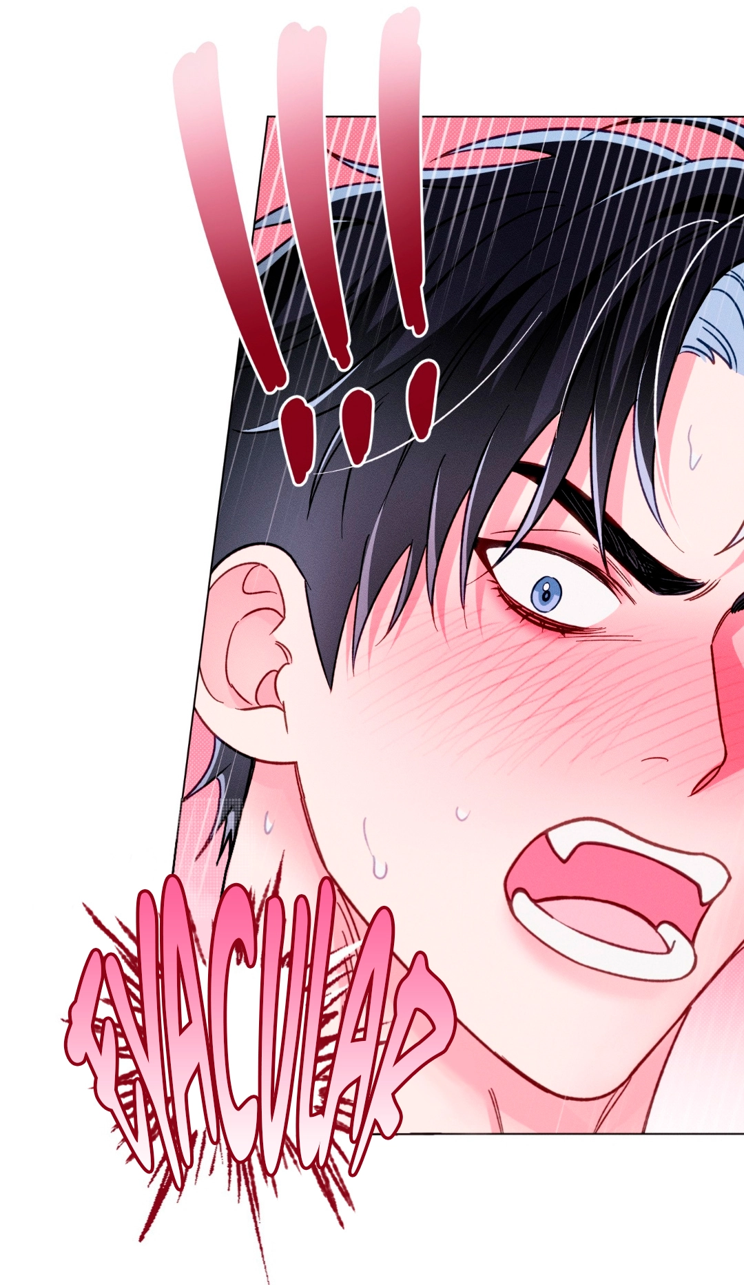 28 El Conde Reencarnado