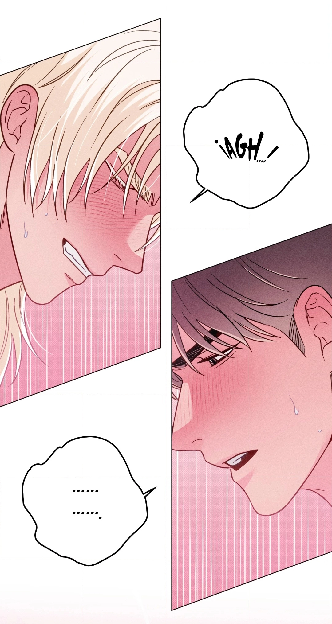 38 El Conde Reencarnado