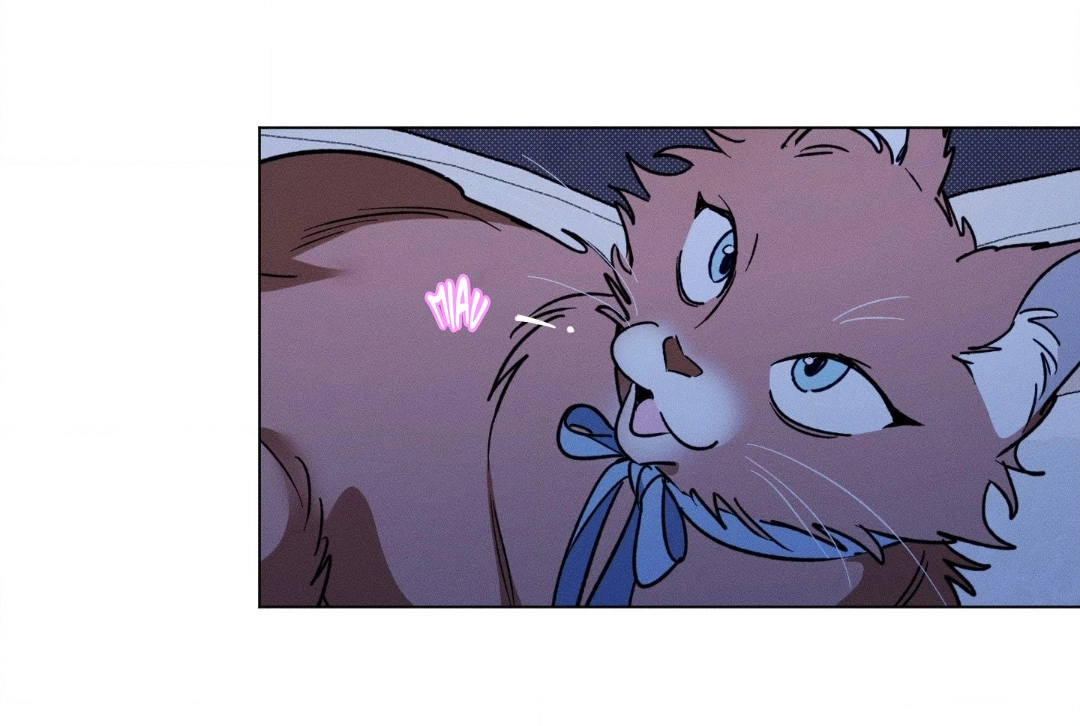 56 El Conde Reencarnado