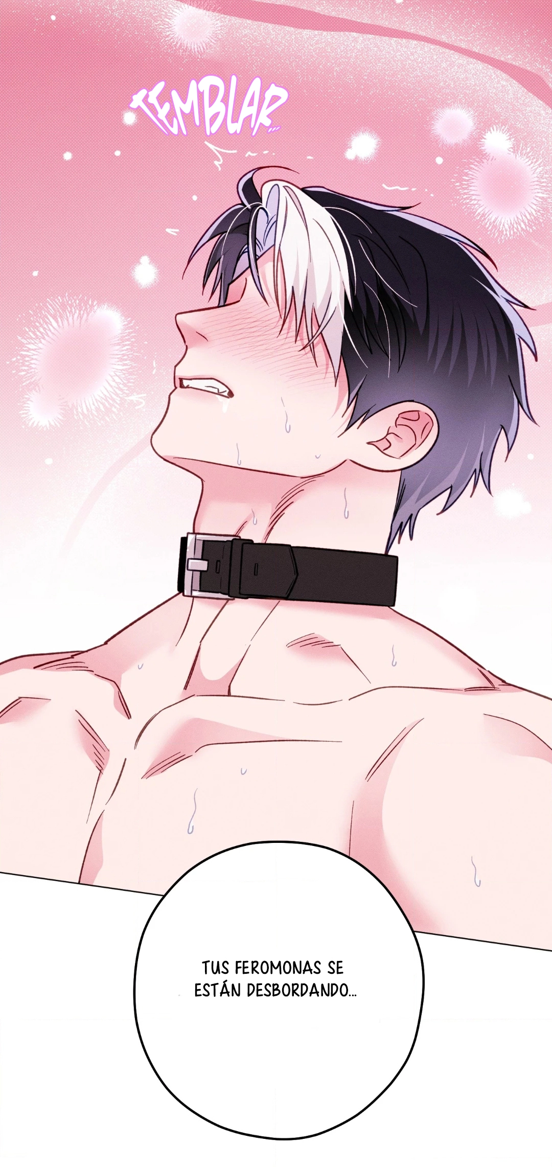 34 El Conde Reencarnado