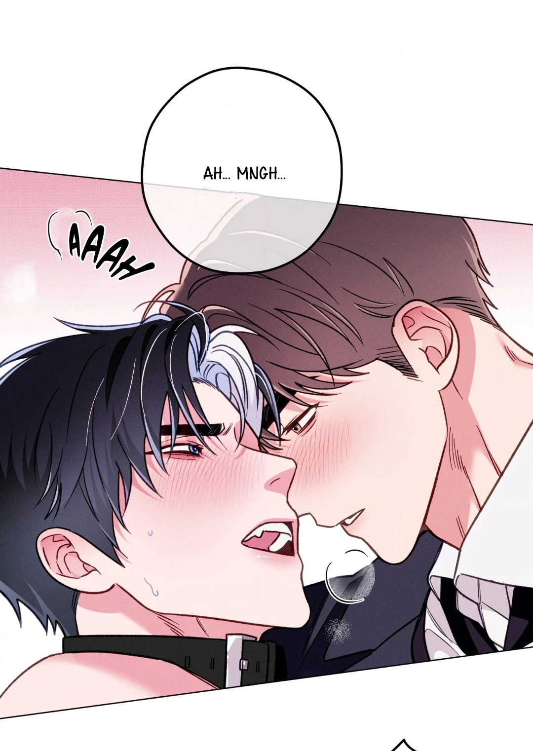 28 El Conde Reencarnado