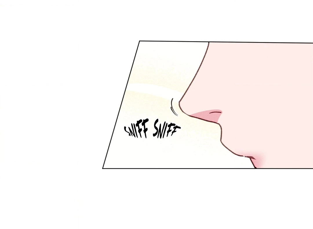 9 El Conde Reencarnado