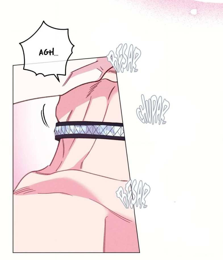 37 El Conde Reencarnado