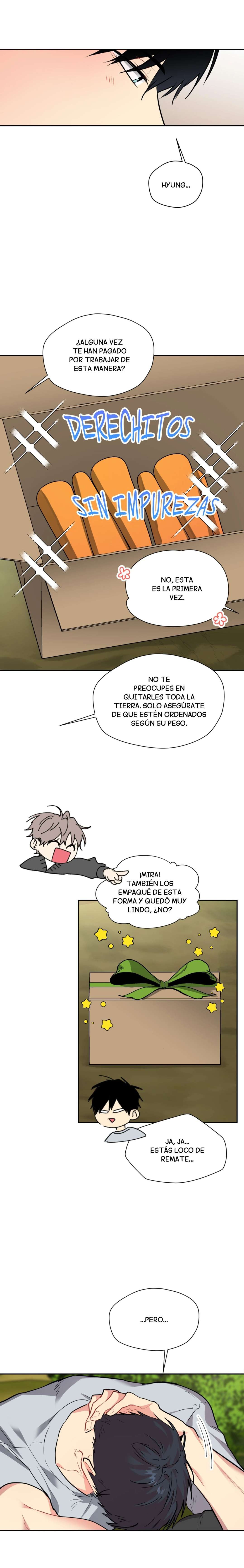 5 Vecinos por la puerta de atrás