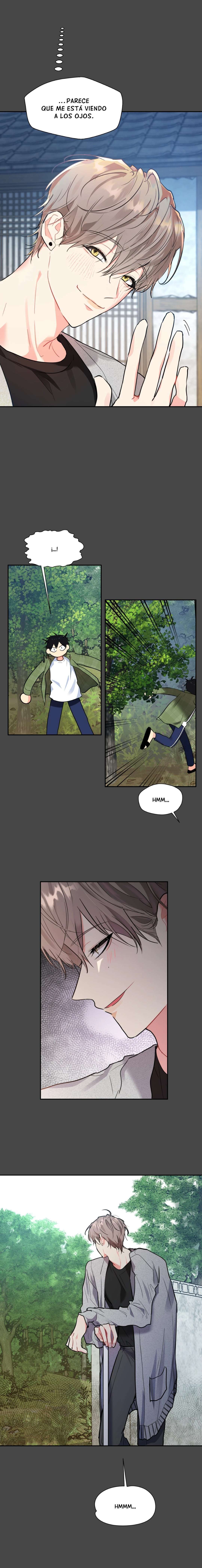 4 Vecinos por la puerta de atrás