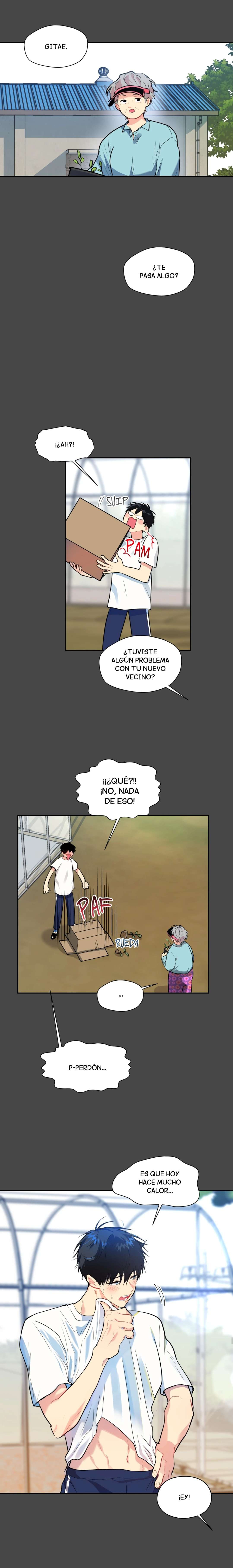 6 Vecinos por la puerta de atrás